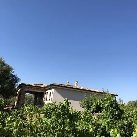 Casa Vacanze L'olivastro