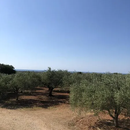 Casa Vacanze L'olivastro Casa vacanze *