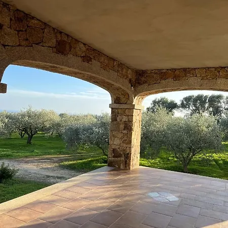 Casa Vacanze L'olivastro *